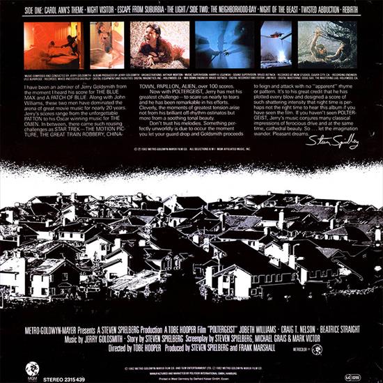 Covers - Poltergeist LP Back Cover.jpg