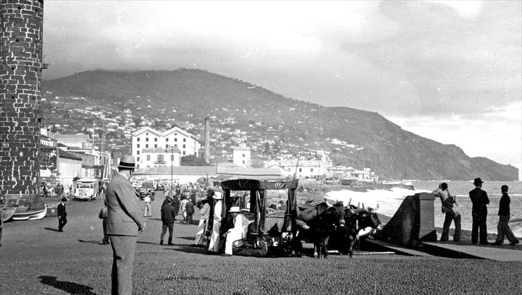 Album de Fotos de PRETOS - madeira2520__1937Carros de Bois no Funchal em 1937,  espera de clientes. Em 1937.jpg