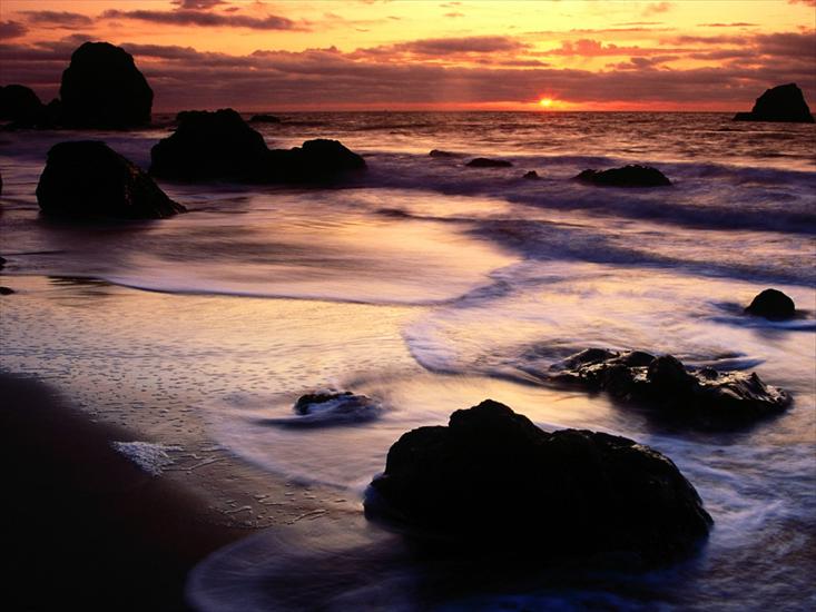  Plaże - Lands End Beach, Golden Gate National Recreation.jpg
