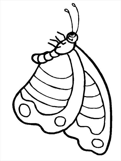 Motyle gąsienice - motyle - kolorowanka 5.gif