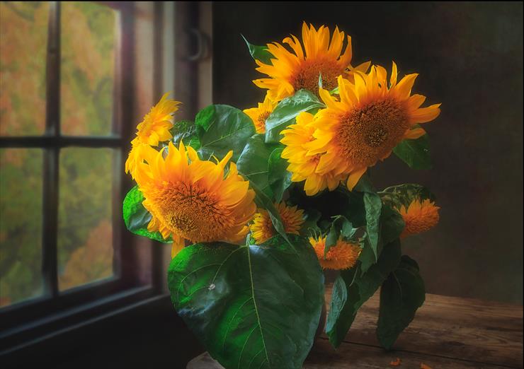 Słoneczniki - 023-04-15 at 15-34-56 Sunflowers.png