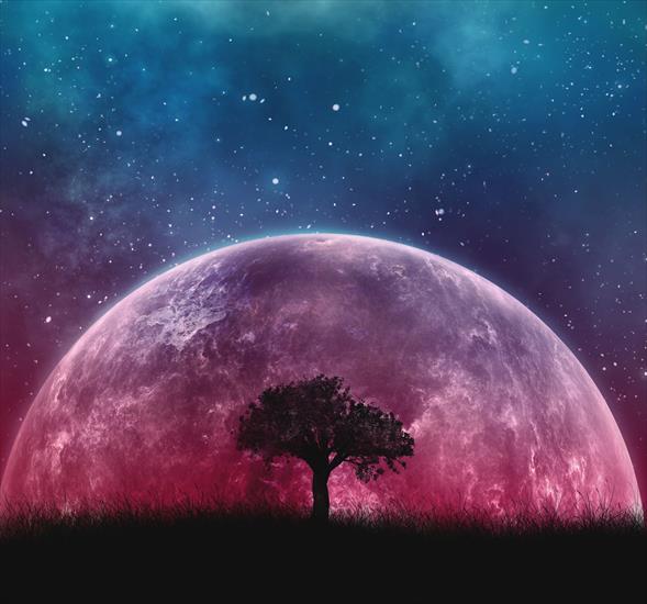 Galeria - Tree-grass-purple-planet-starry.jpg