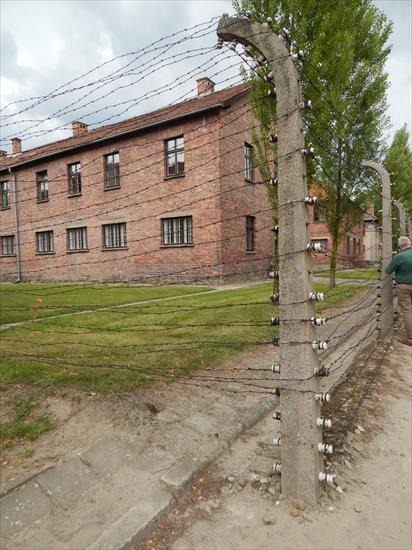 KL Auschwitz-Birkenau - 105.JPG