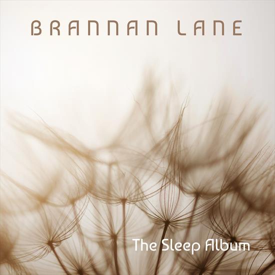 Brannan Lane - The Sleep Album - 2024 - cover.jpg